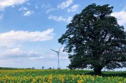 日本のエネルギーと地球温暖化対策の新計画